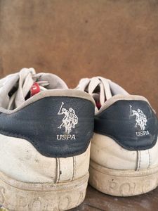 Original US Polo Assn Sneakers Size 10