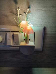 LED Night Light Lamp