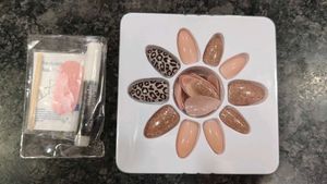 Nail Studio Animalier Press-Ons