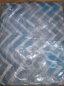 Blue and White Saree