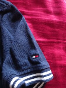Tommy Hilfiger Navy Blue Collar Neck T- Shirt