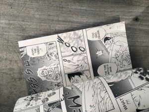 Pokemon Zoroark - manga, comic, novel, book