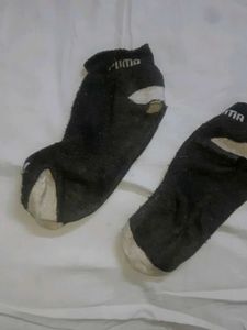 Puma Socks