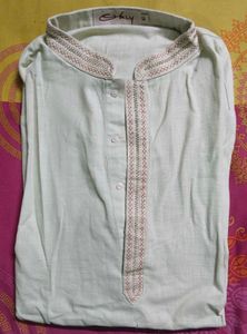 Light Green Ethnic Cotton Kurta for Men