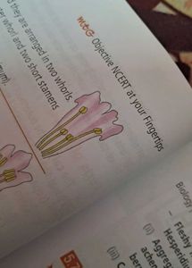 MTG Biology Stugy Material For Neet Aspirants
