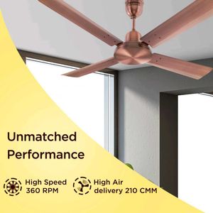 Hindware Delito 1200mm 4blade Fan