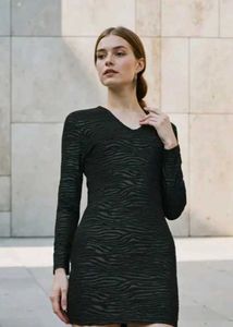 Animal Print Mini Dress