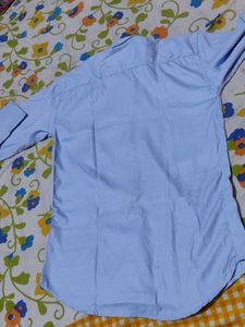 Mens Shirt