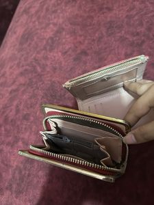 Combo Of 2 Wallet