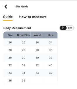 Shein Elegant Blue Sheer thigh slit Midi Skirt