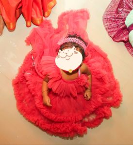 A New Birthday/ Party Wear Grand Dres With Tale.