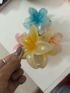 Claw Flower Clips
