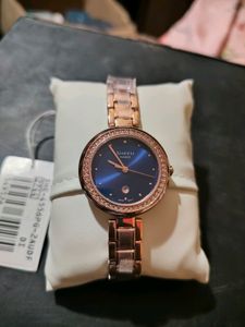 New Casio Sheen Analog Women Watch