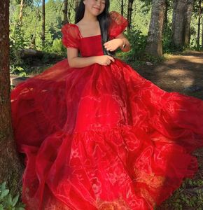 Red Organza Birthday Dress