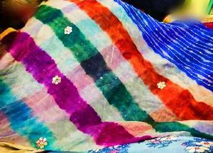 Elegant Striped Saree