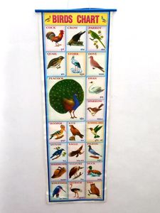 Learning Charts For Kids