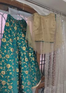 Designer New Style Lehenga Choli For Girls