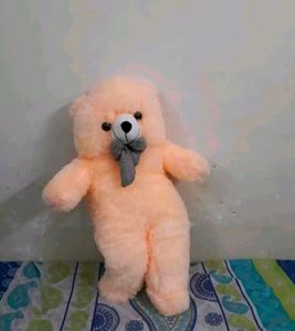 Teddy (Combo)