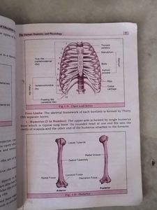 Physical Education Class 9