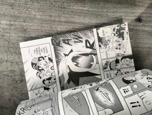 Pokemon Zoroark - manga, comic, novel, book