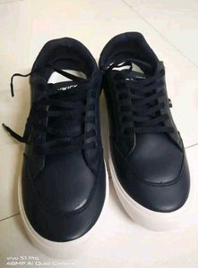 Stylish Blue Casual Shoes