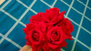 5 Red Roses Hair pins