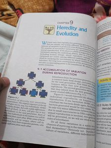 Ncert Science Book For Class 10th