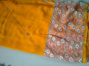 Desinger Sadi With Blouse