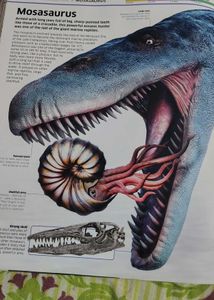 Dinasaur Encyclopaedia