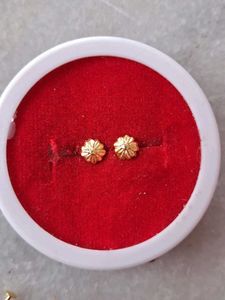 Beautiful New Flower 🌼 Desine Studs