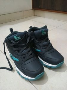New Shoes Casual