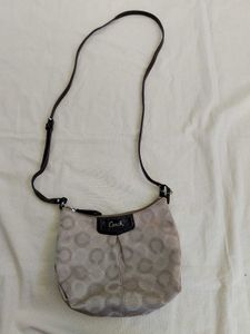 Coach Bag (Vintage)