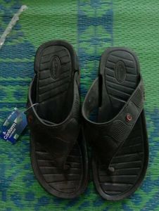 Ladies Chappal