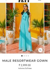 Daywear Dress / Gown