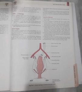 Medical Textbook-Bd Chaurasia Human Anatomy