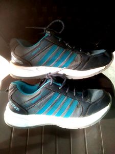 Asian Soleflex Wilto Sports Shoes