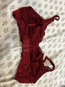 Red Lace Bra