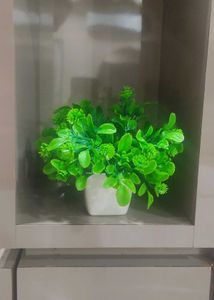 Artificial Flower Pot Only cash