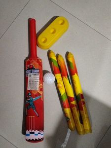 Cricket Set
