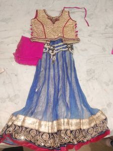 Embroidered Lehenga Choli