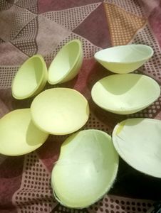 Blouse Cups
