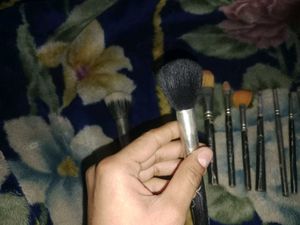 Makeup Brush Set