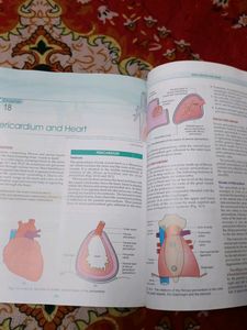 Human Anatomy BD Chaurasia Volume 1
