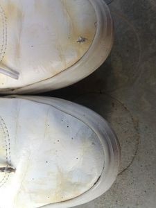 Puma White Sneakers