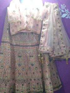 Elegant Embellished Lehenga Choli Set