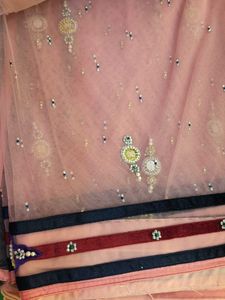 Pink  Border Net Sarree