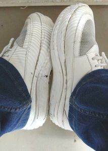 White Sneaker Shoes