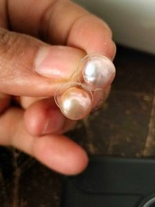 Freshwater Pearl Pink Studs