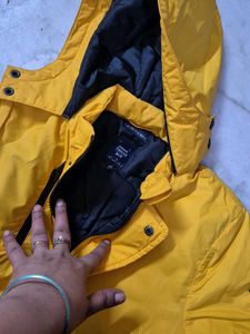 Stylish Yellow Jacket