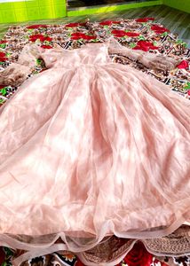 Elegant Peach Net Gown with Embroidery Work